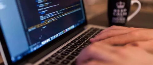 软件工程与学前教育的交叉 计算机软件技术开发在早期教育中的应用