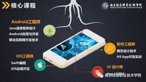 南京信息职业技术学院计算机与软件学院高招专业介绍 计算机软件技术开发
